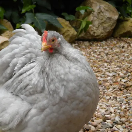 Lägenhet Preciosa Casa Con Jardin Privado 