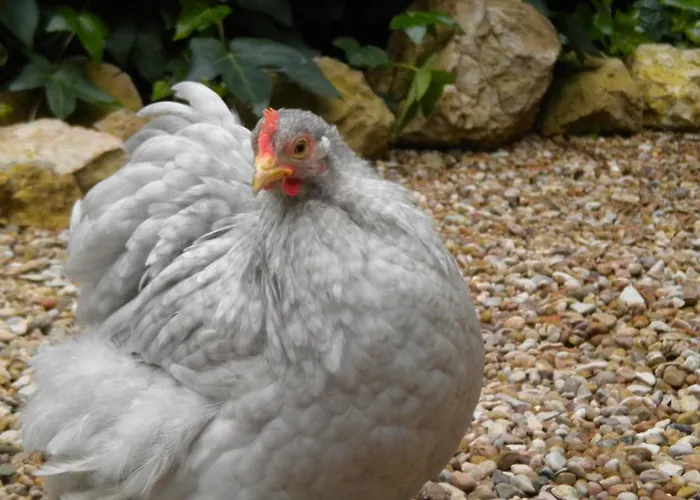 Διαμέρισμα Casa Gaston - Esenciaaragon- Casa Con Jardin Privado